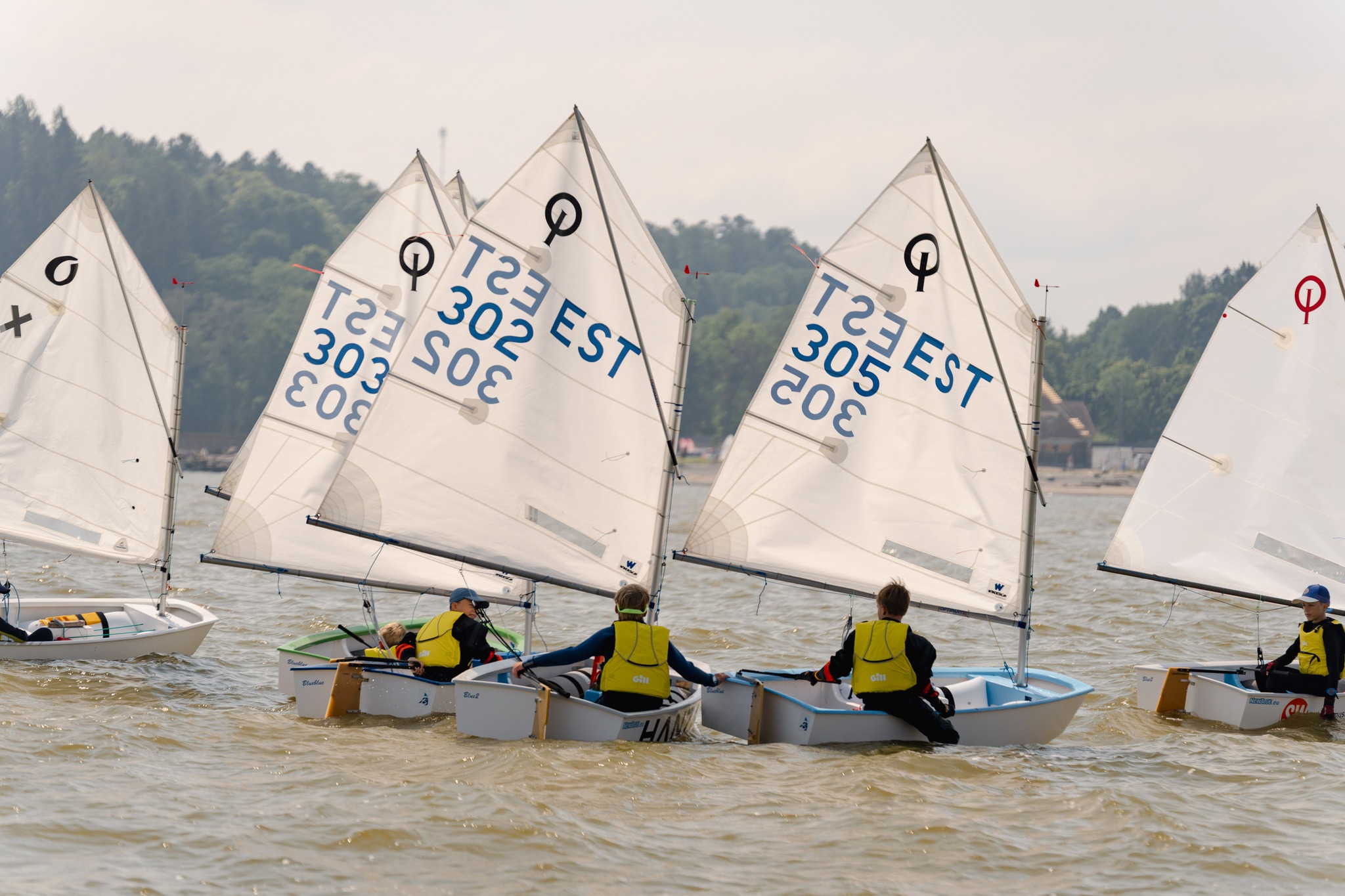 517112221 3667731403359603 389072854878860106 N